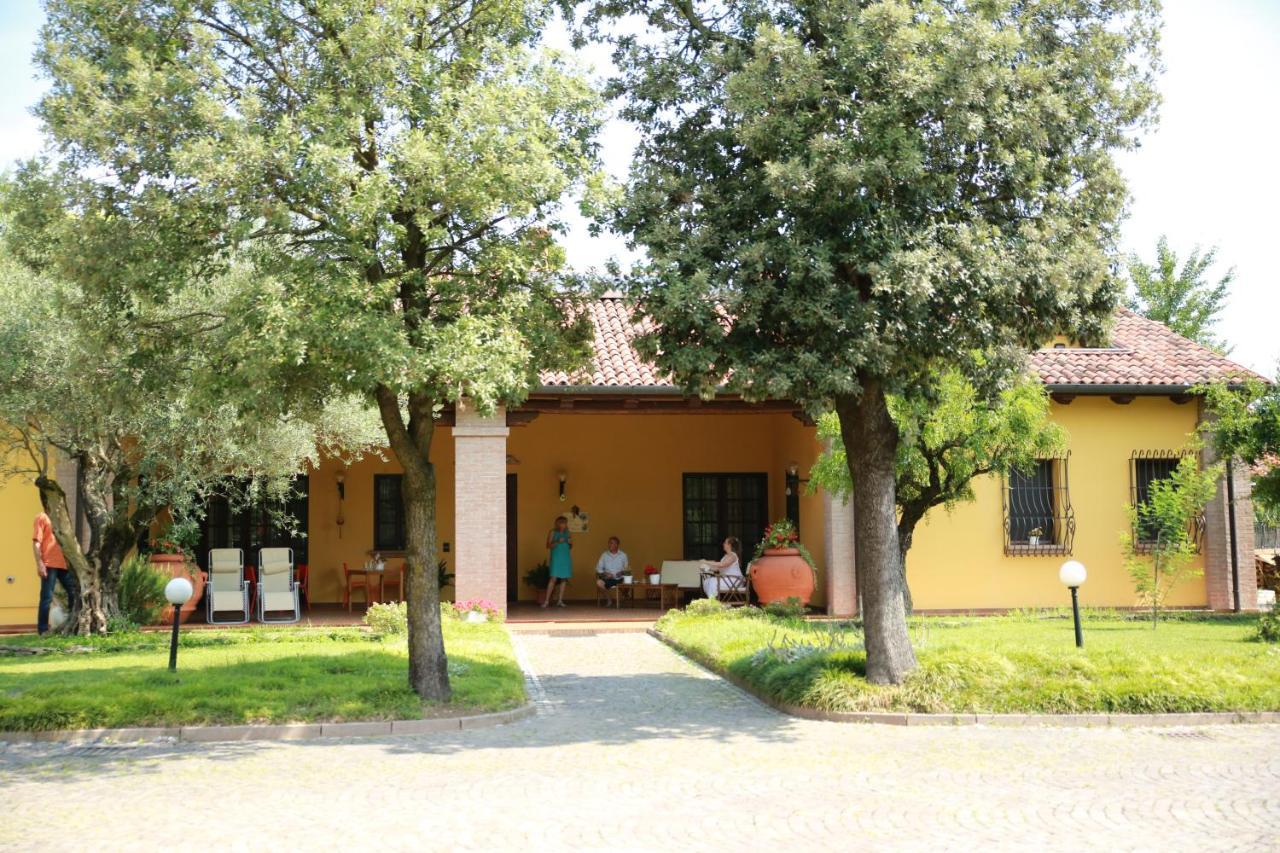 B&B La Vigna Di Federico Rubano Extérieur photo