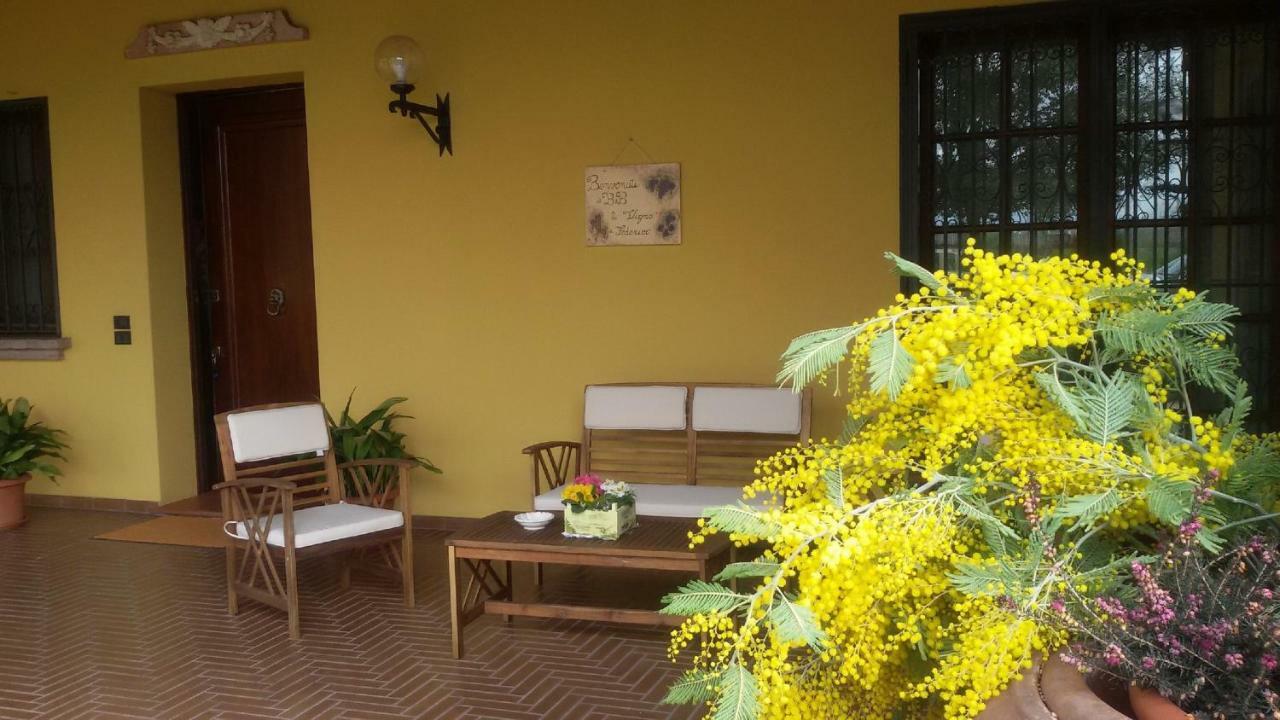 B&B La Vigna Di Federico Rubano Extérieur photo