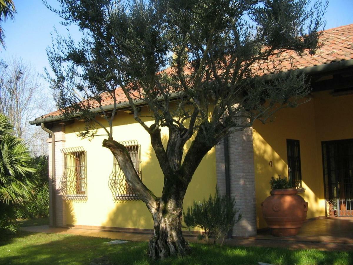 B&B La Vigna Di Federico Rubano Extérieur photo