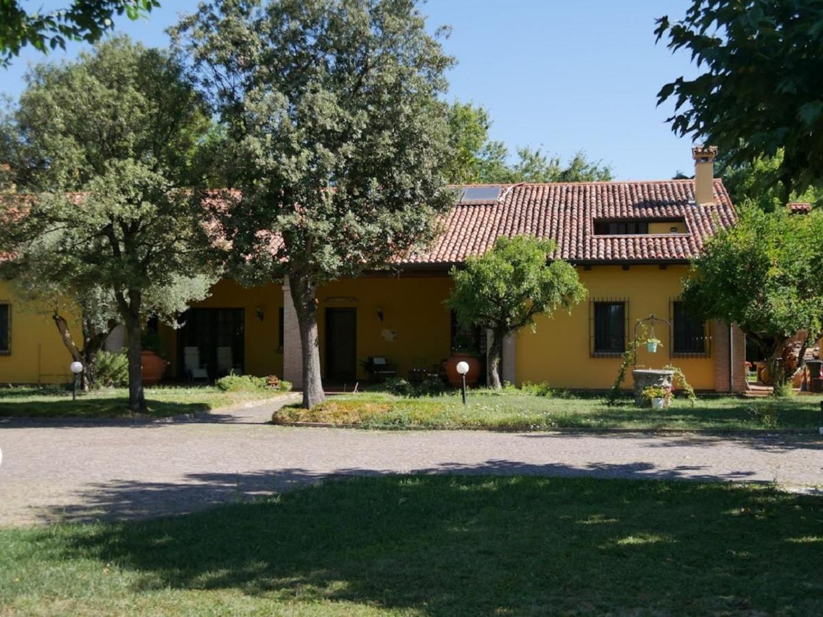 B&B La Vigna Di Federico Rubano Chambre photo